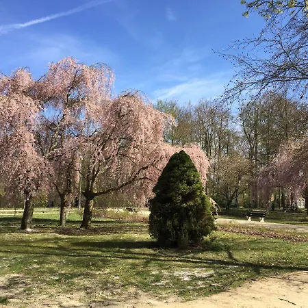 Apartment Green Frantiskovy Lazne
