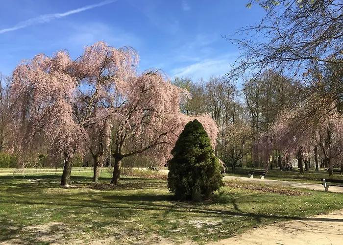 Apartment Green Františkovy Lázně