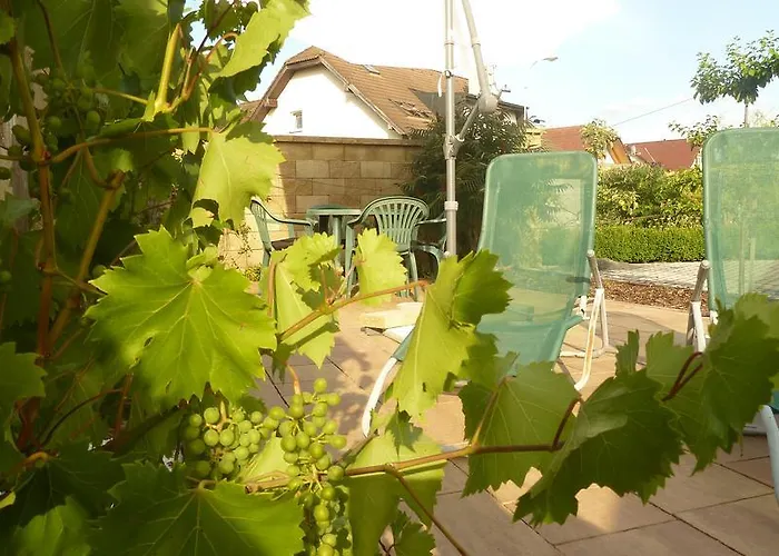 Green * Františkovy Lázně